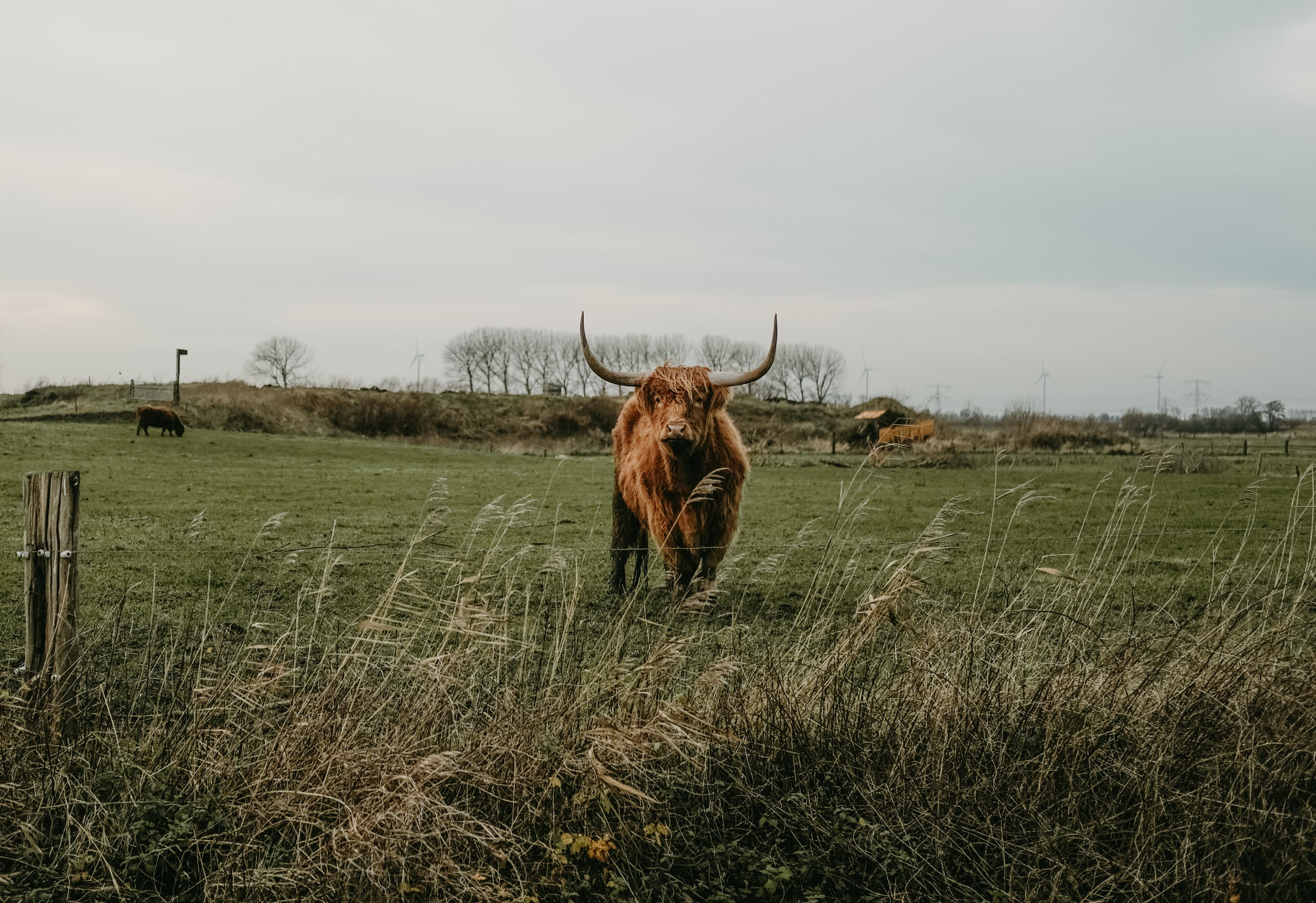 A 3-day winter trip in Noord-Brabant