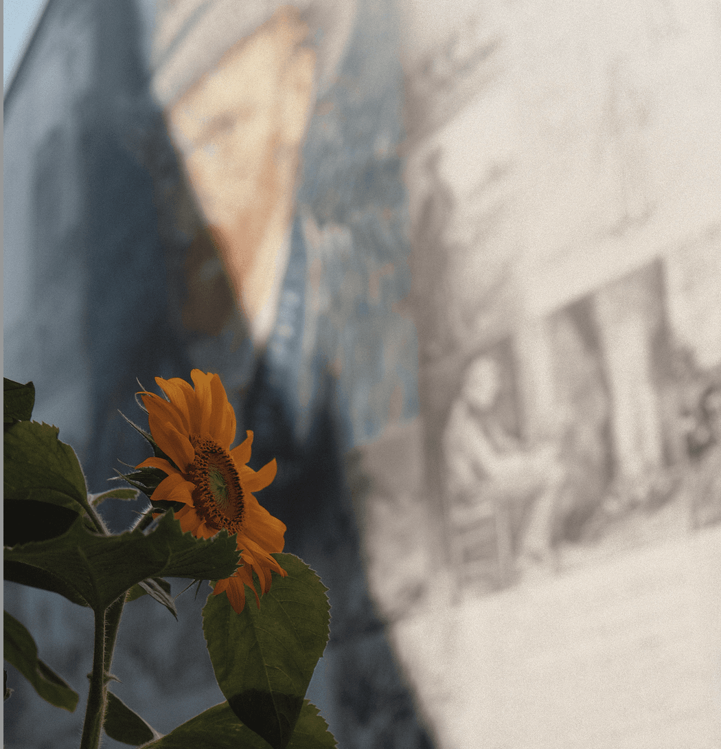 Three days through cultural North Brabant