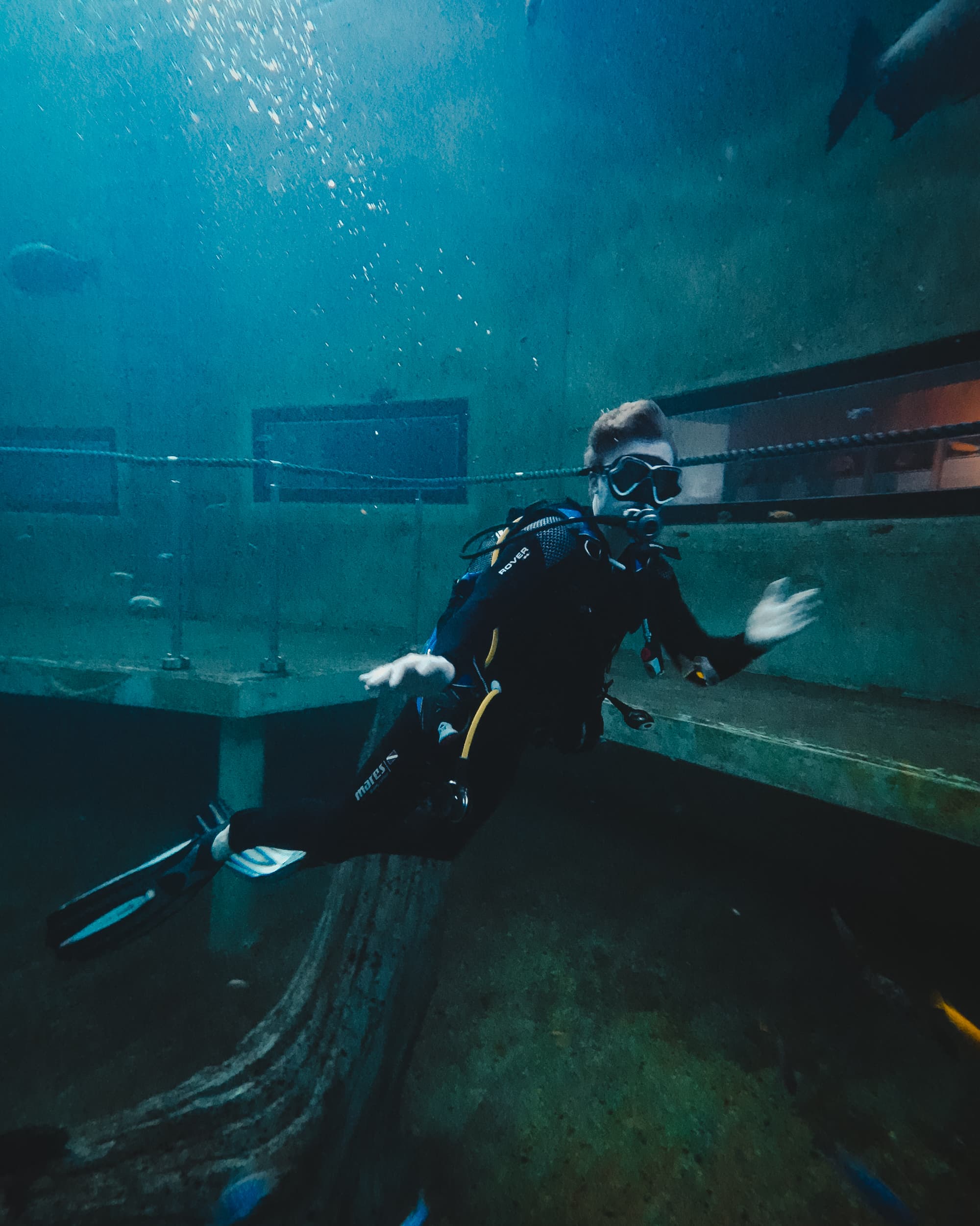 Diving at TODI