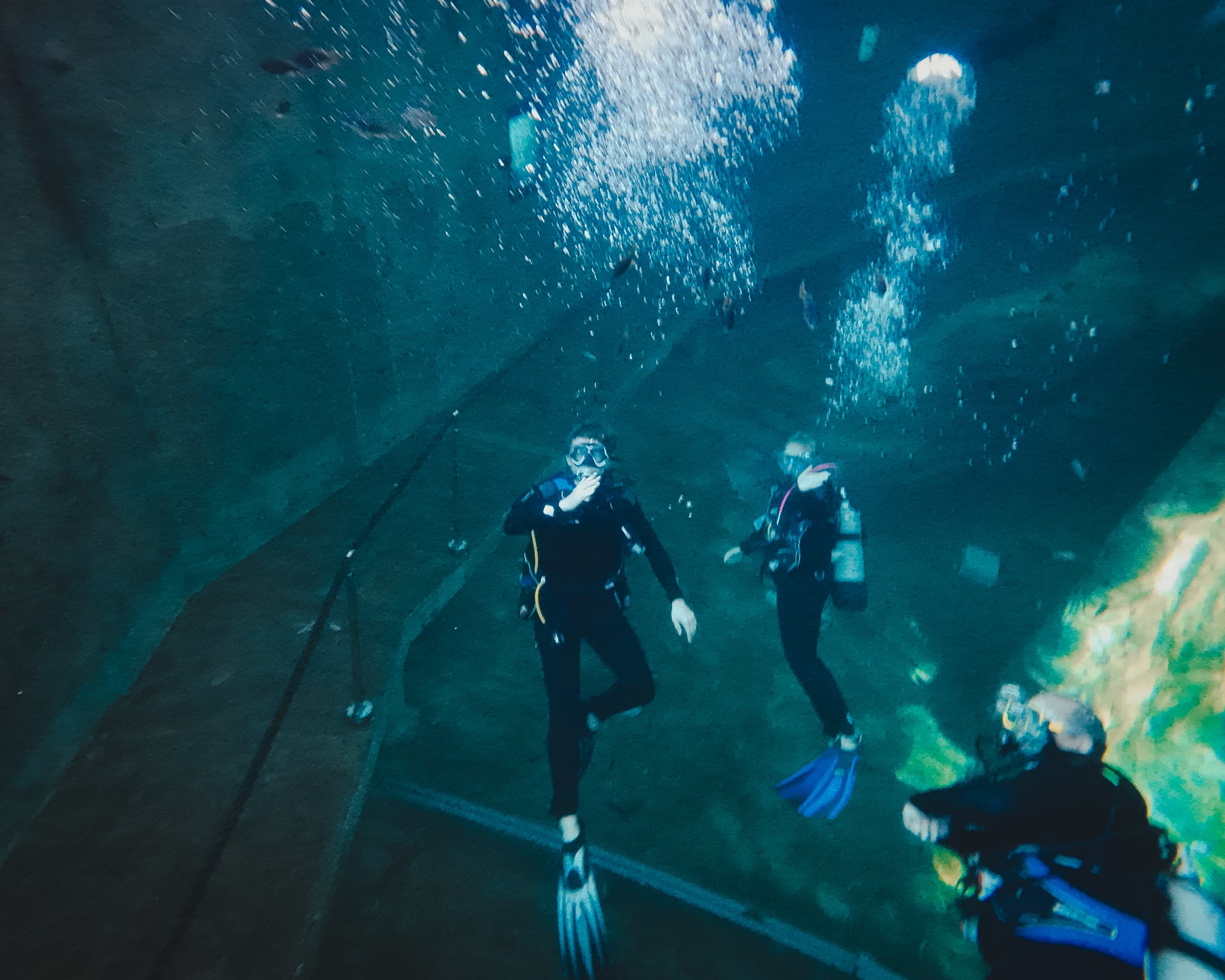 Diving at TODI