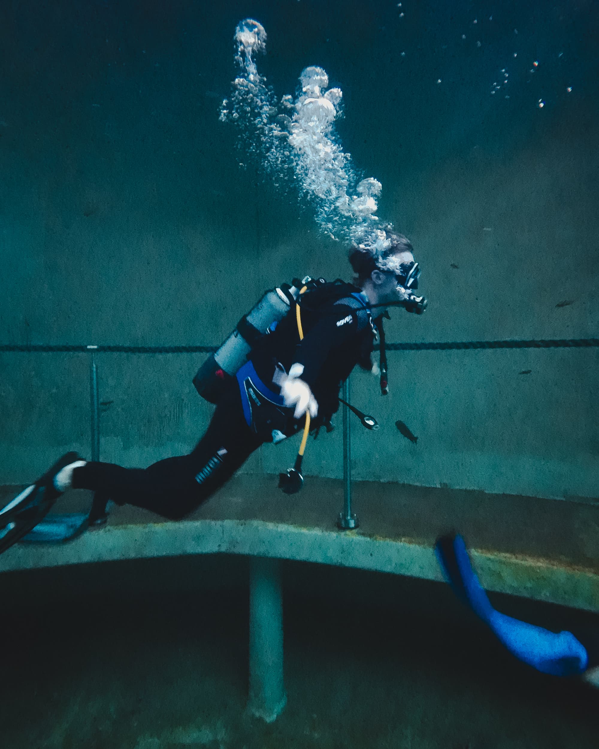 Diving at TODI
