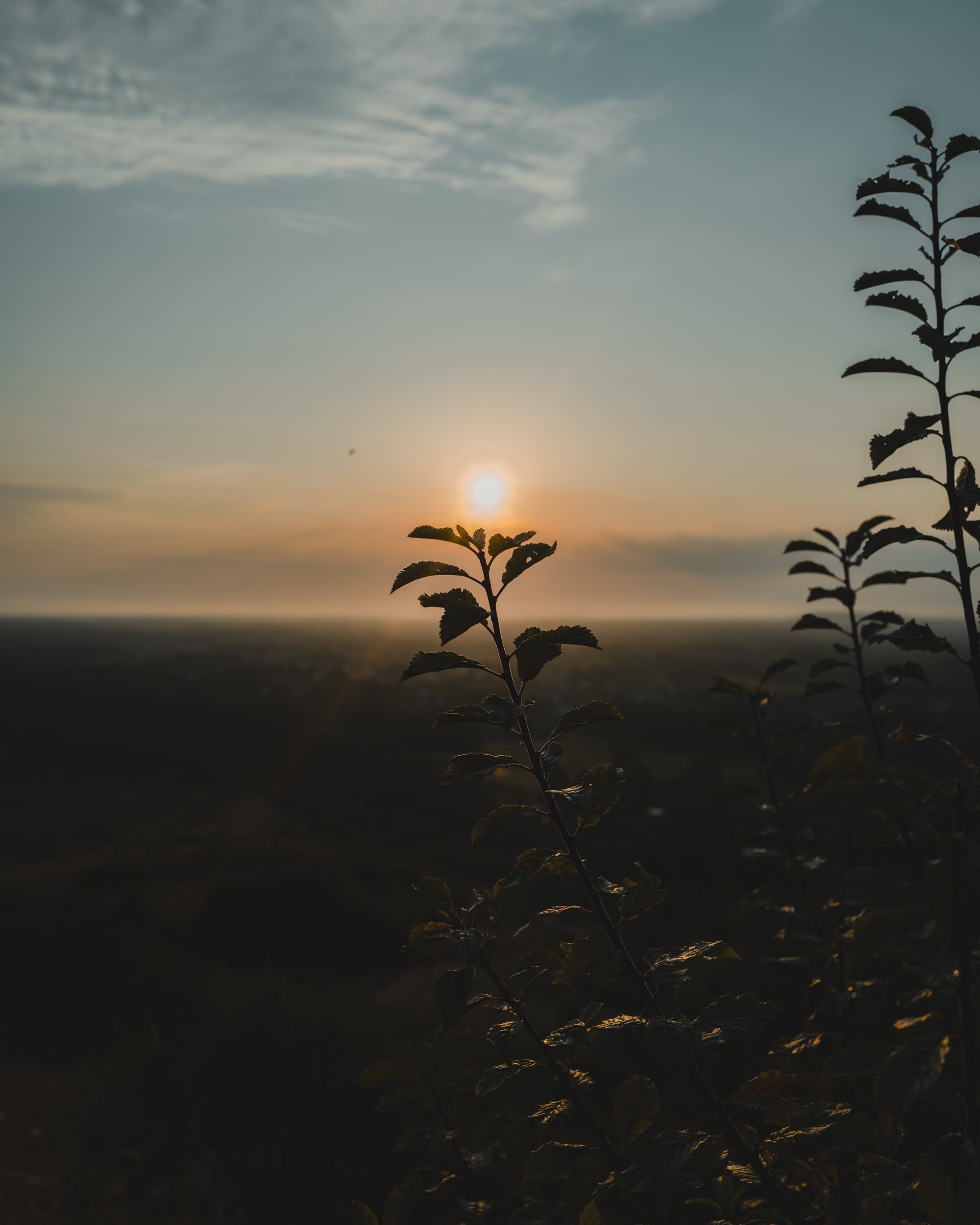 Sunrise Hike at be-MINE