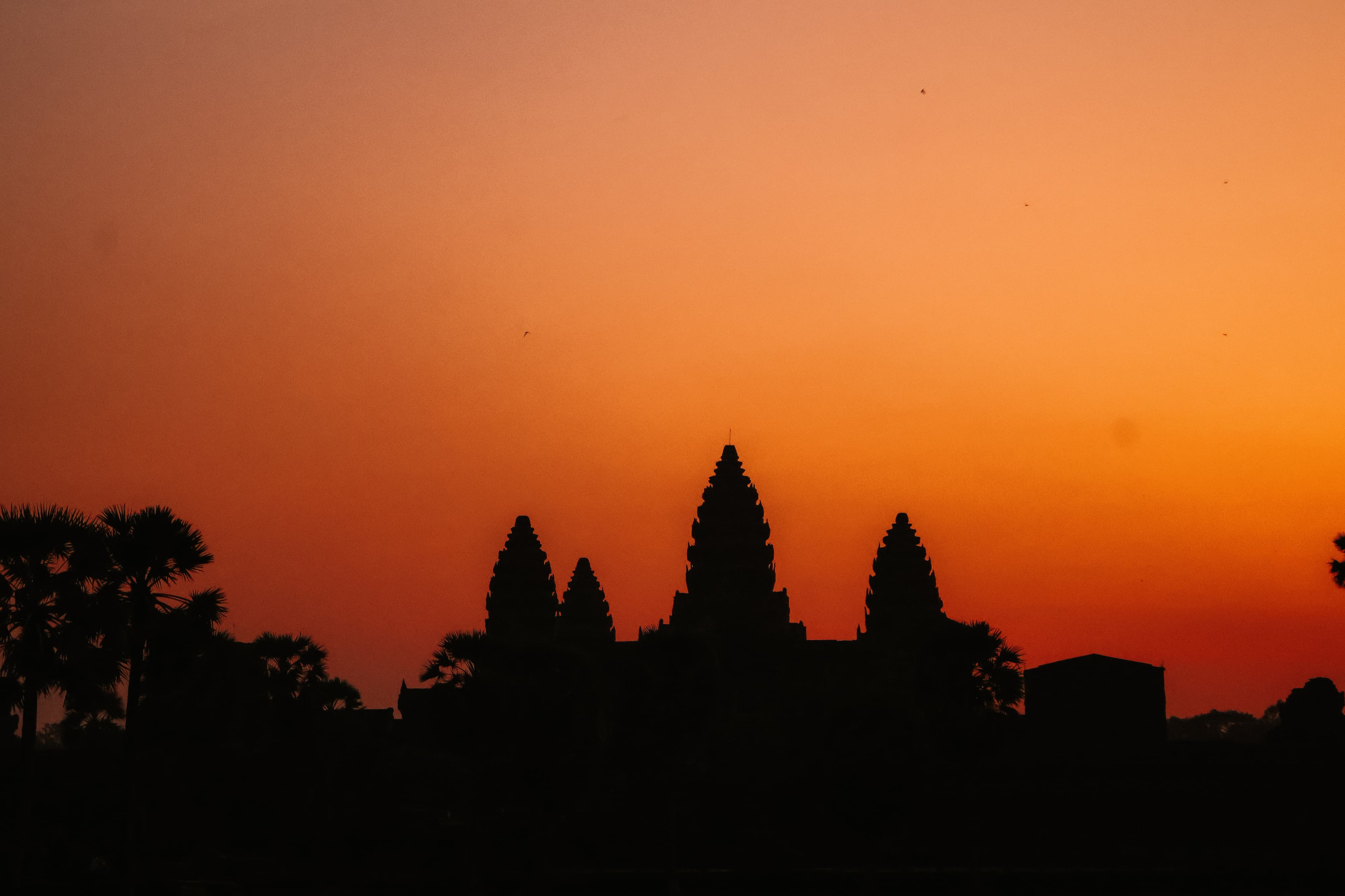 Twee weken Cambodja