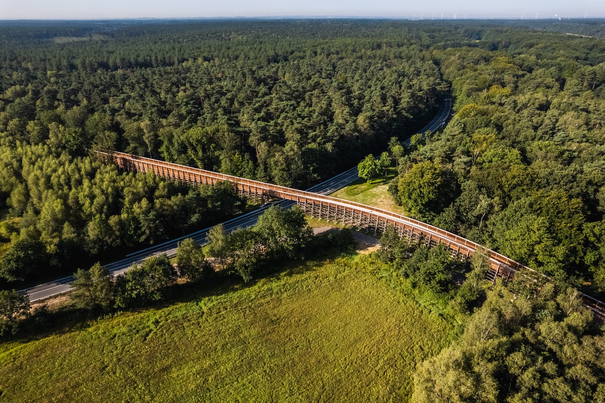 Fietsen door de heide