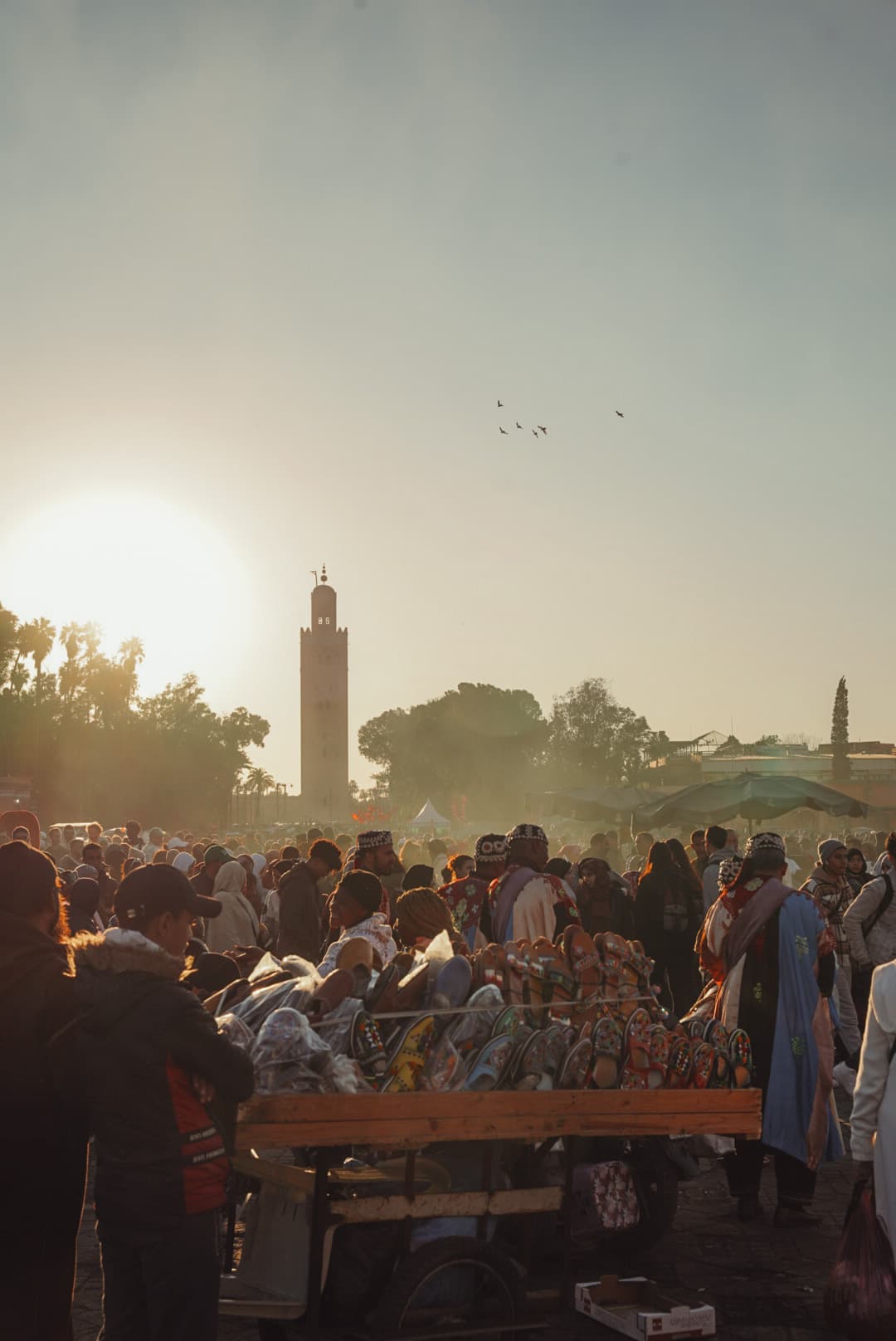 Maroc