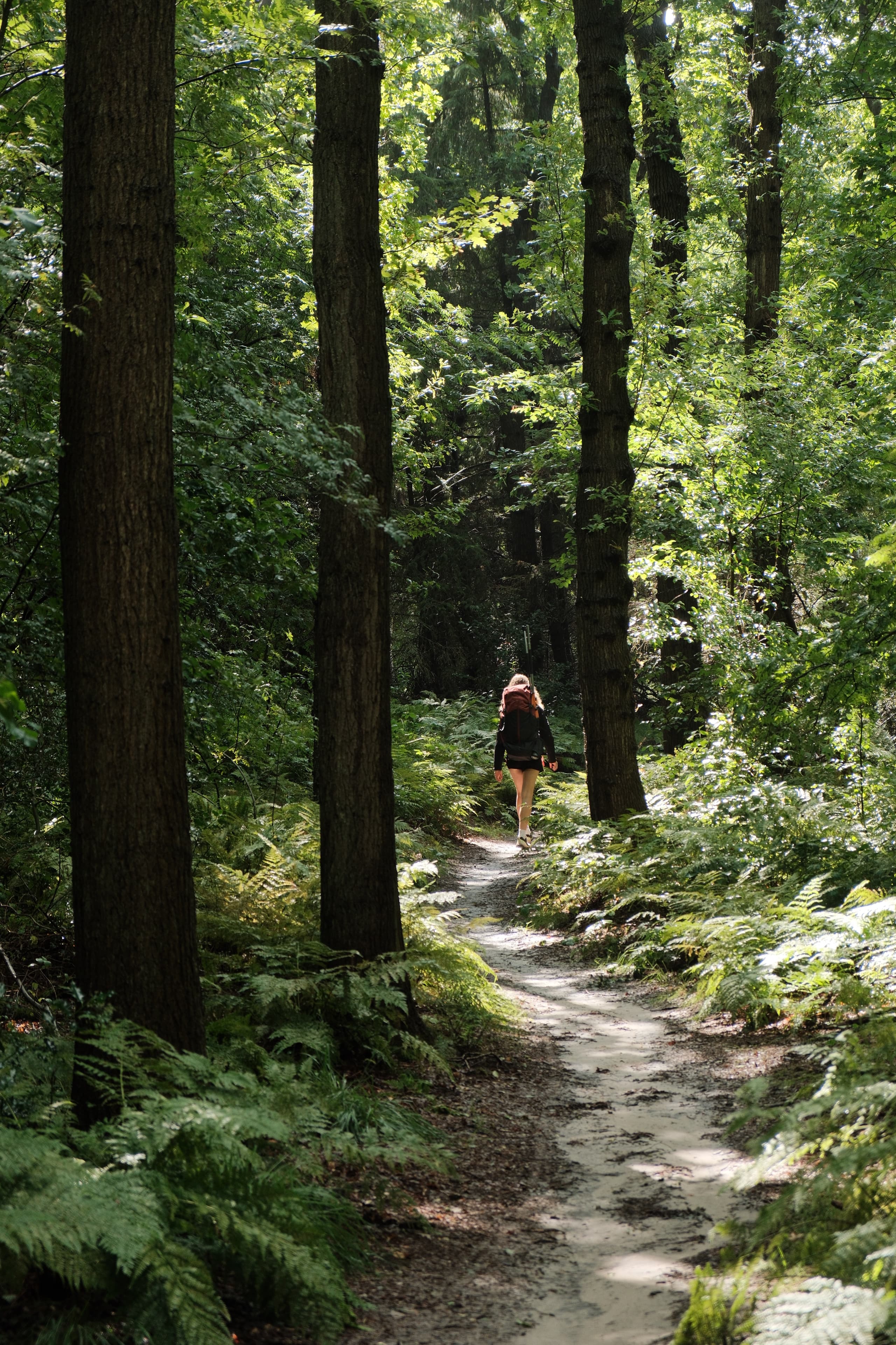 Week-end actif dans le nord des Pays-Bas
