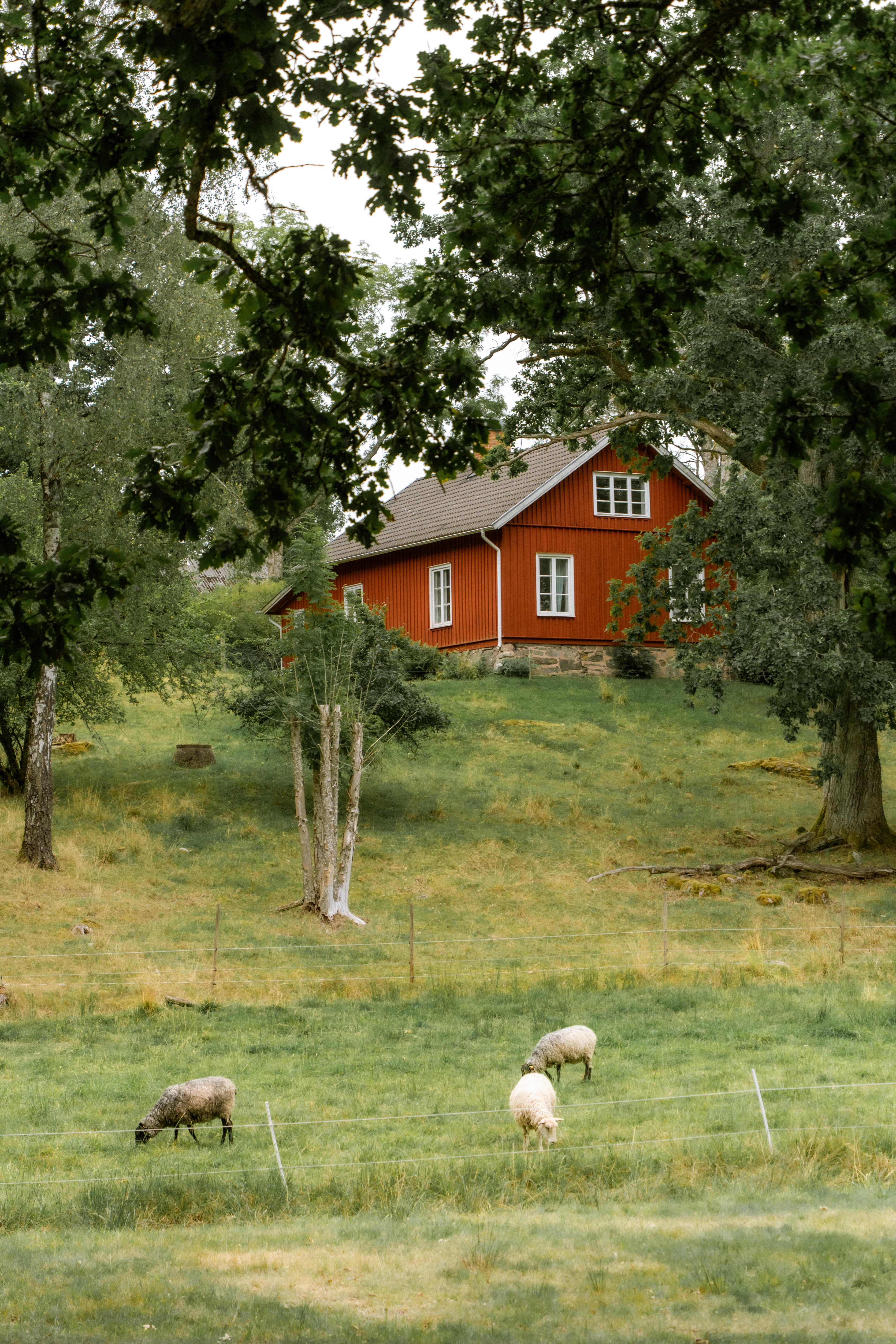 Vivre la vie rurale suédoise