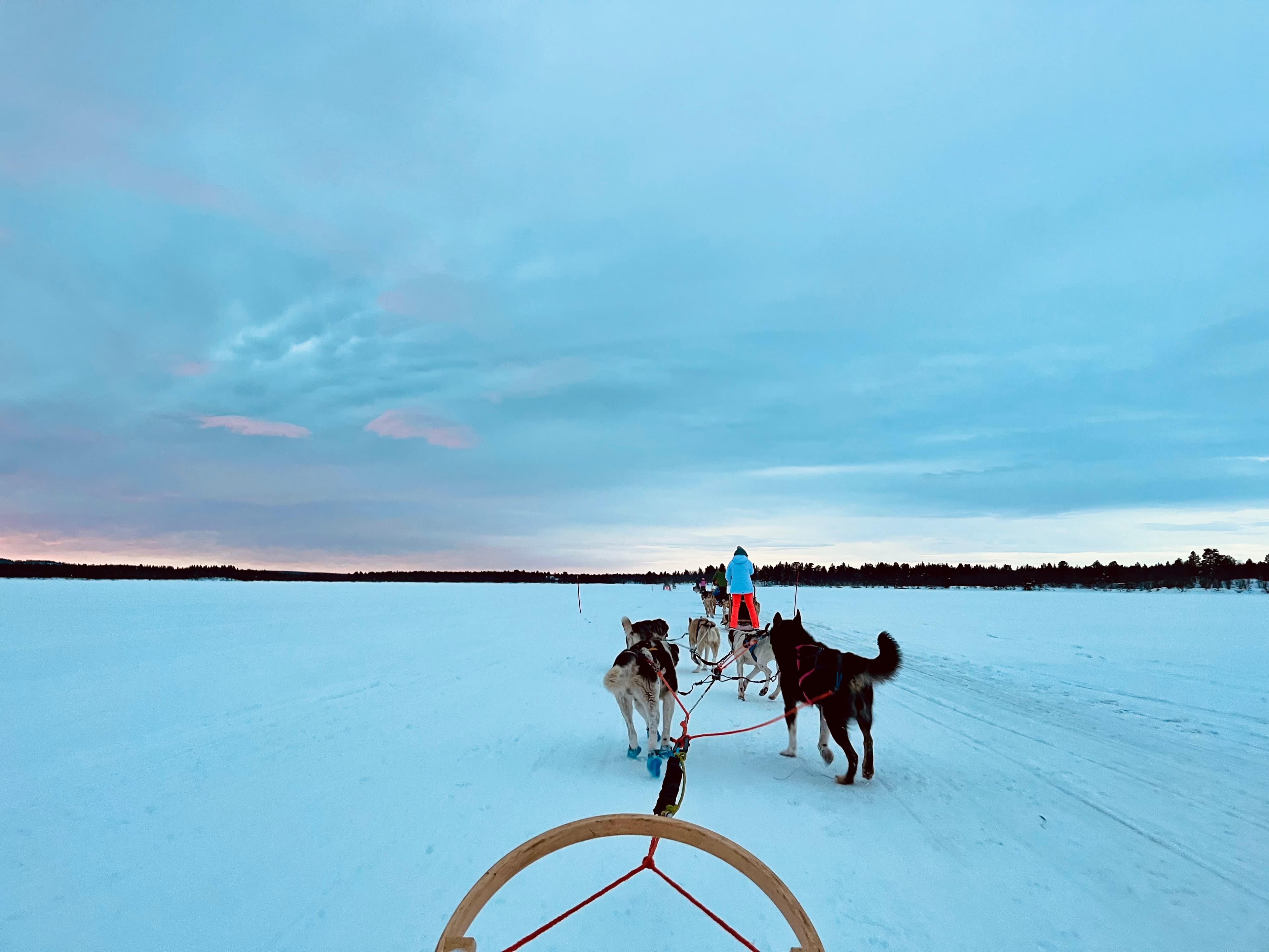 9 Must-Do Activiteiten in Fins Lapland